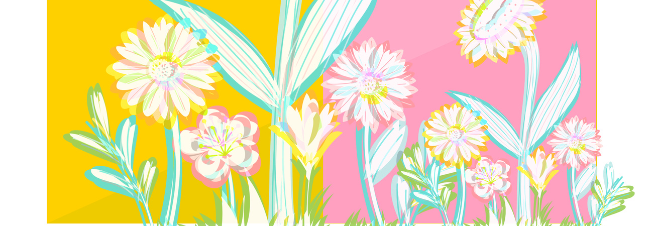 Weiße Blumen vor gelbem und reosafarbenem Hintergrund